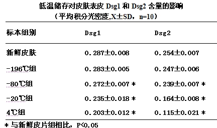 上图显示了低温冷冻对皮肤组织桥粒芯糖蛋白1表达的影响,可见新悉皮