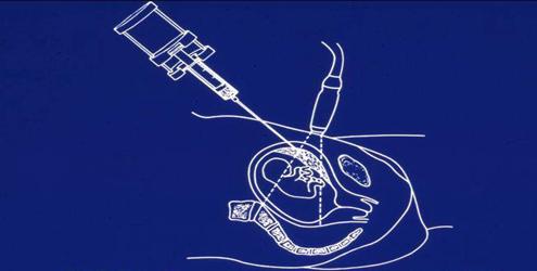 中国医科大学附属盛京医院乔宠
